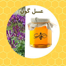 صادرات عسل گون