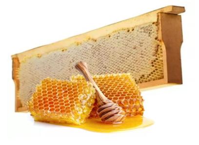 قیمت خرید عسل کنار اصل + خواص، معایب و مزایا